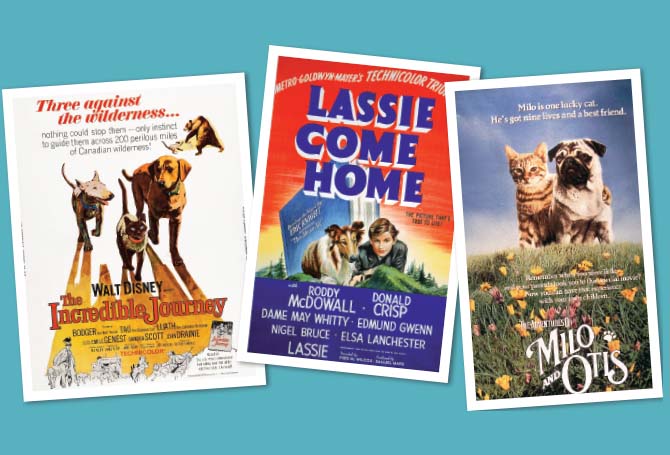 Three movie posters about animals