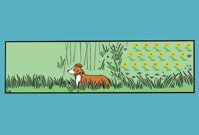 Illustration of dog walking through a field