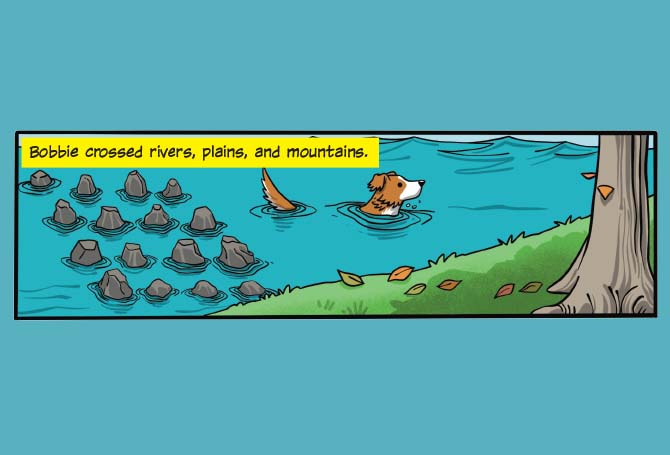 Illustration of a dog swimming in a river