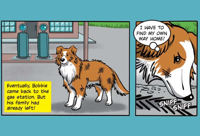Illustration of a dog sniffing the ground