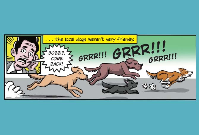 Illustration of dogs running